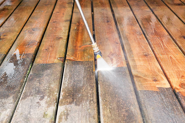 Best Soft Washing  in Pine Mountain Lake, CA